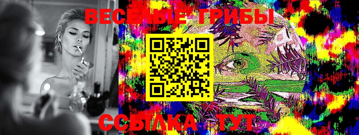 Псилоцибиновые грибы GOLDEN TEACHER  Вход с VPN  Лыткарино 